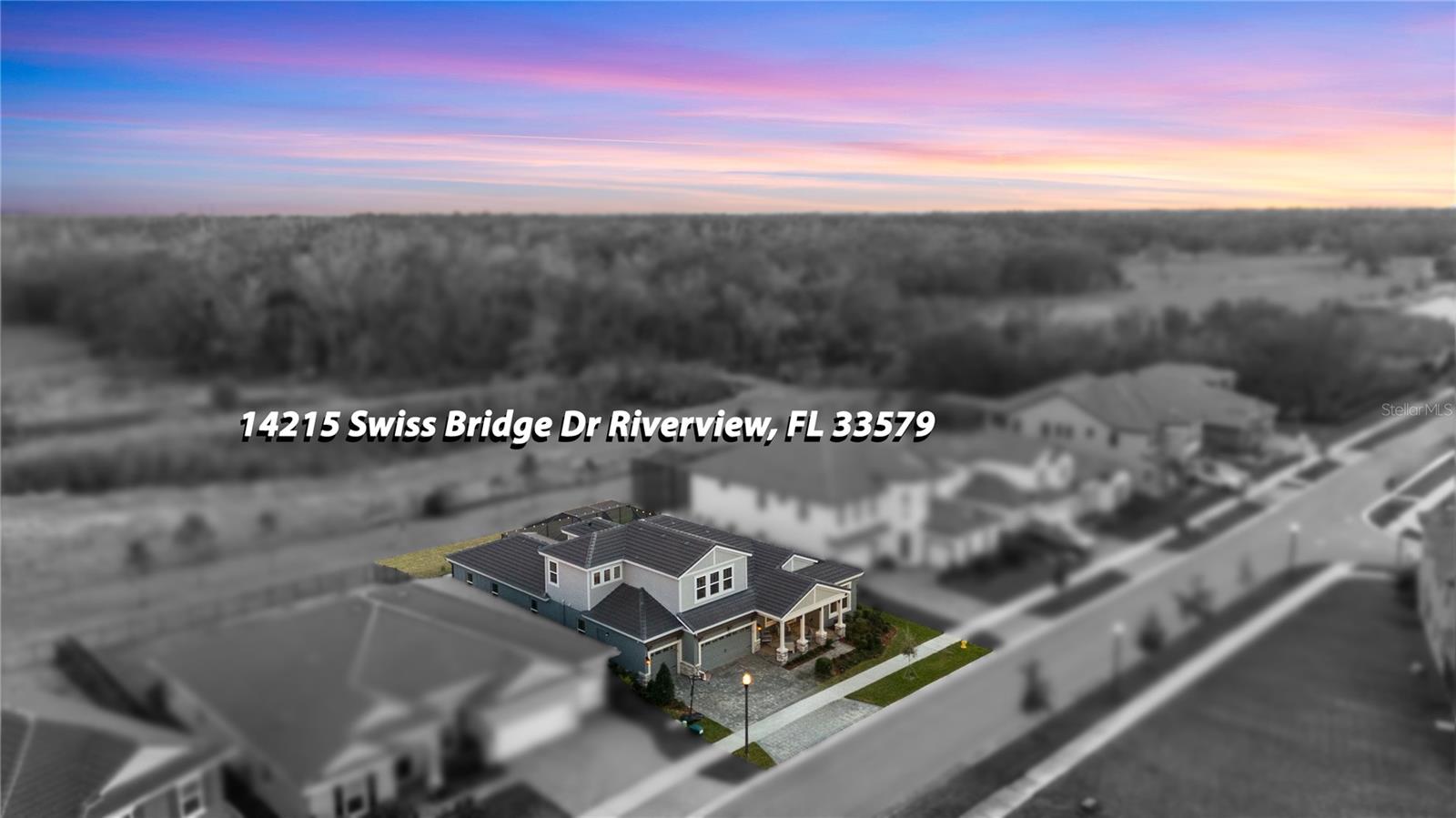 14215 SWISS BRIDGE DR, RIVERVIEW, FL, 33579
