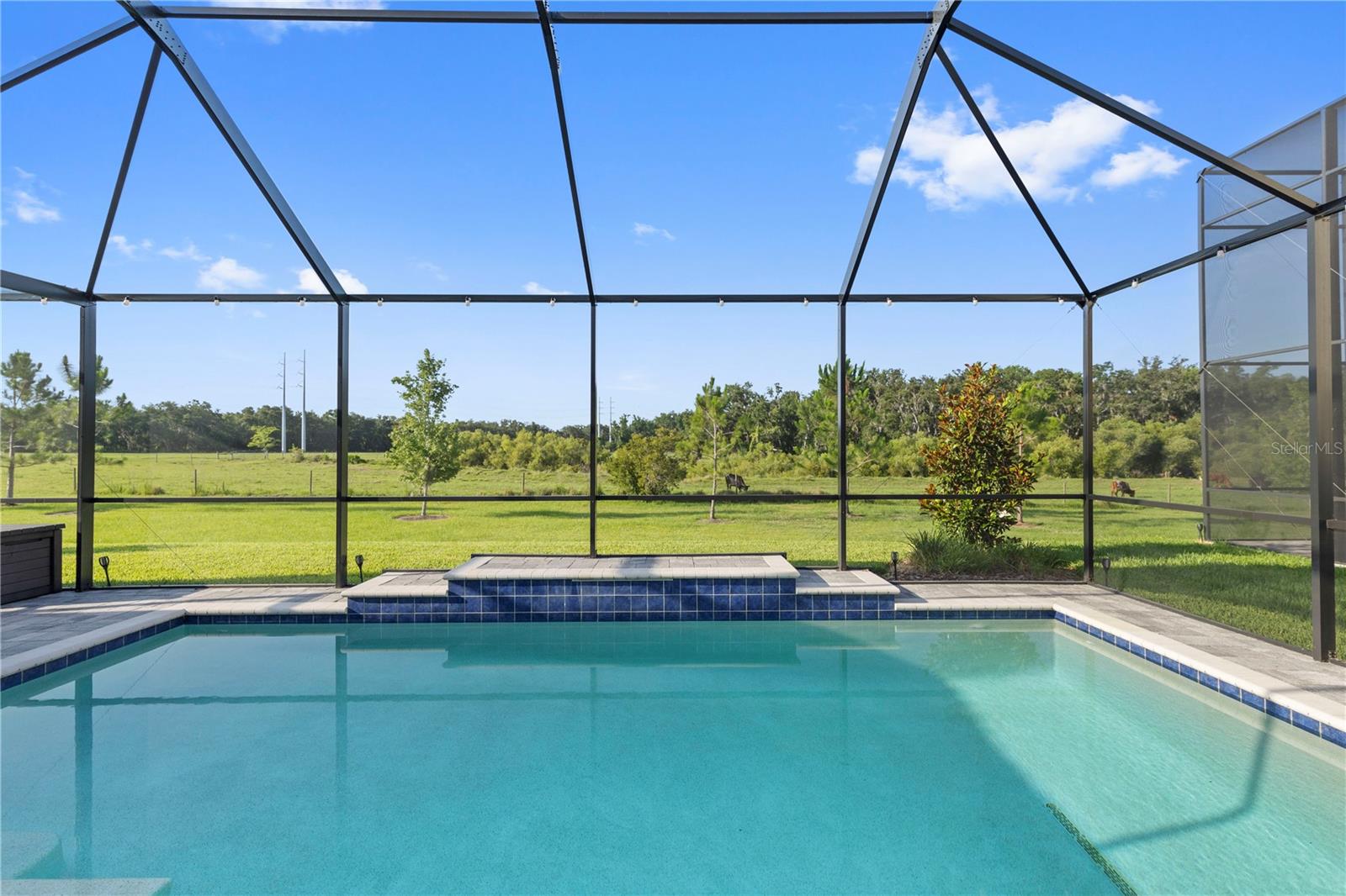 14215 SWISS BRIDGE DR, RIVERVIEW, FL, 33579