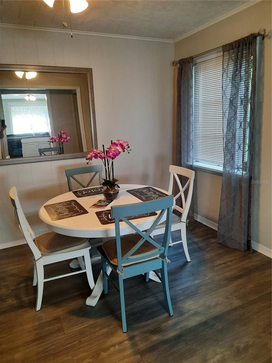 107 S IONA AVE, FRUITLAND PARK, FL, 34731