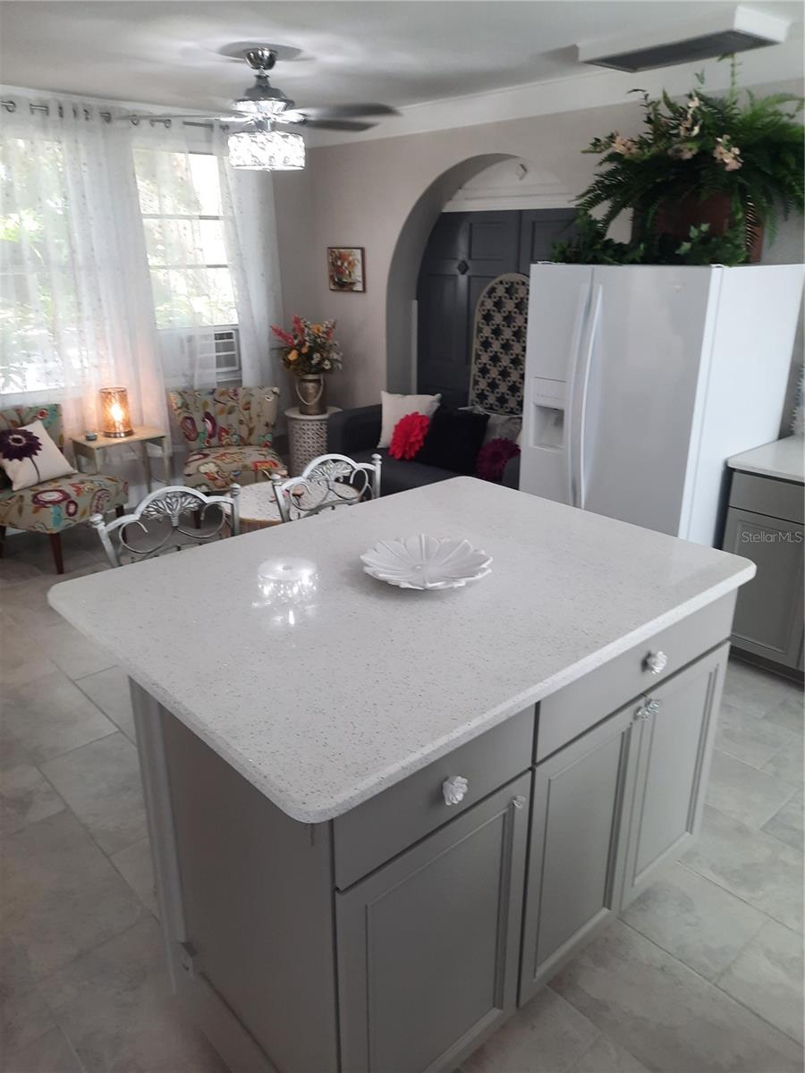 107 S IONA AVE, FRUITLAND PARK, FL, 34731