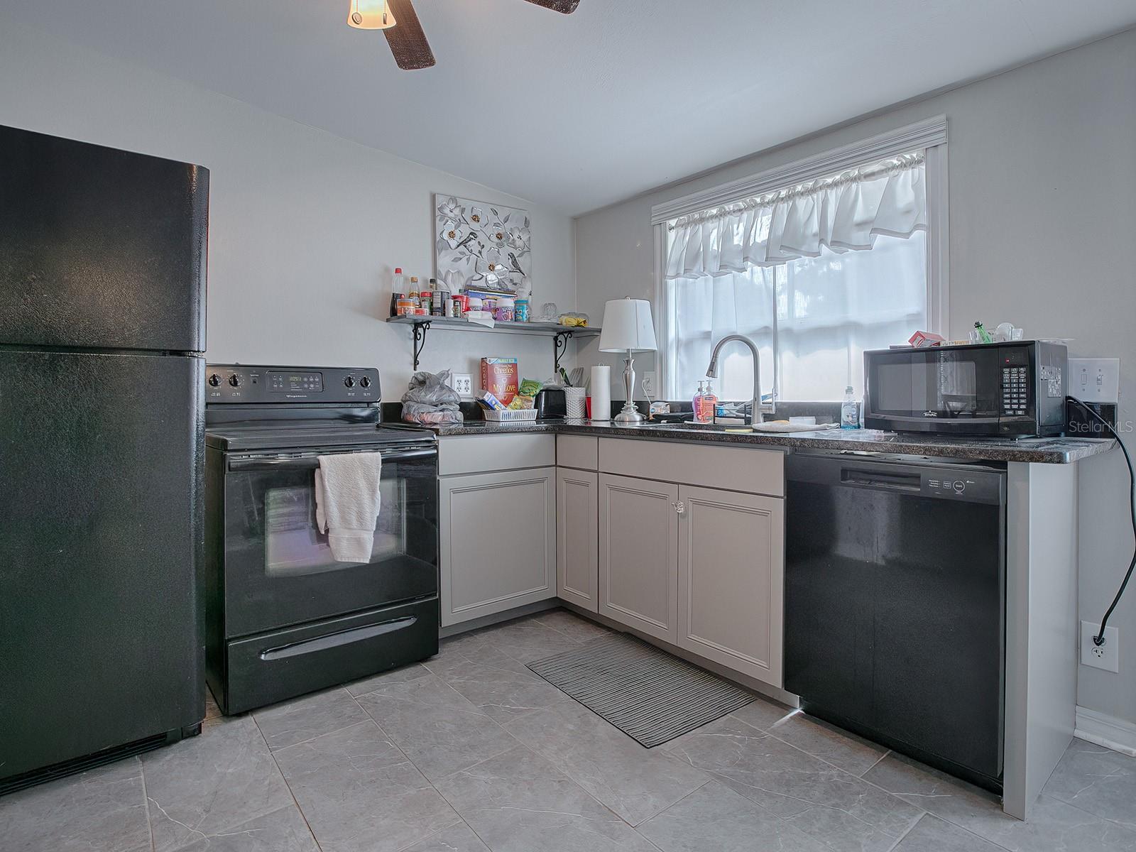 107 S IONA AVE, FRUITLAND PARK, FL, 34731