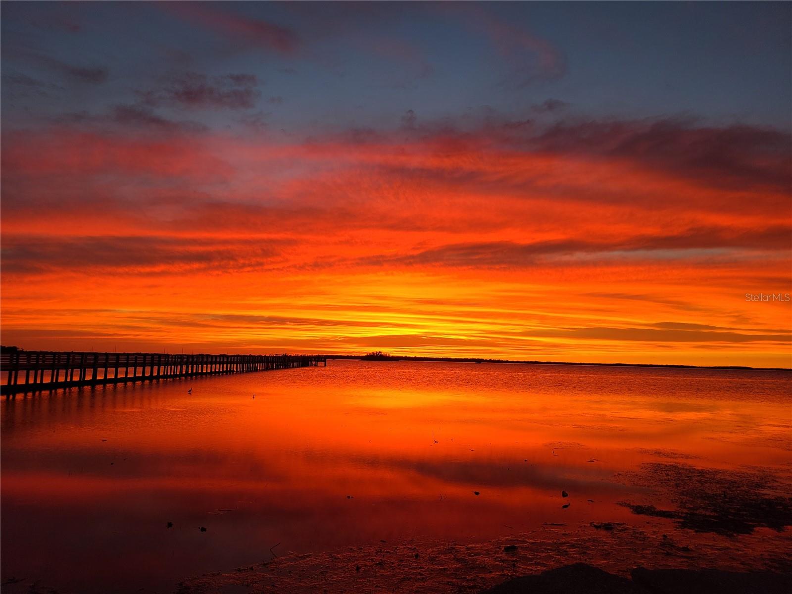 710 LYNDHURST ST #223, DUNEDIN, FL, 34698