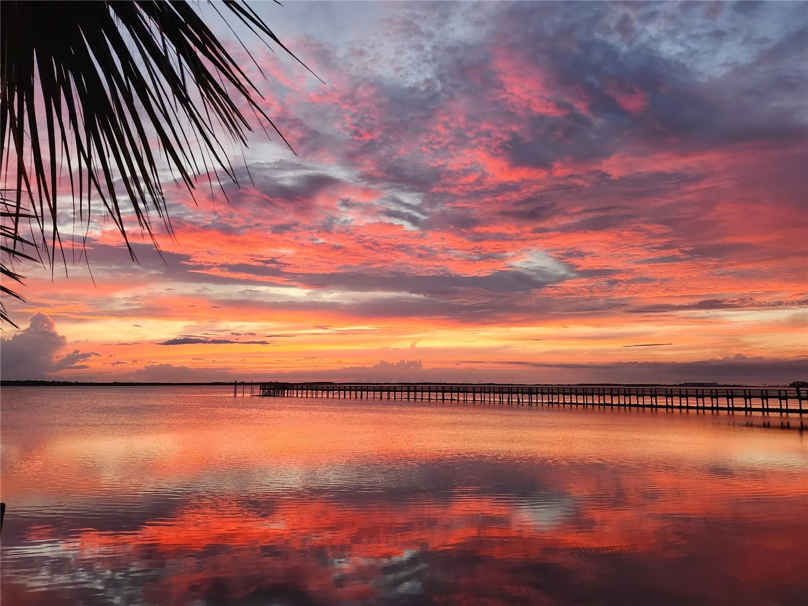 710 LYNDHURST ST #223, DUNEDIN, FL, 34698