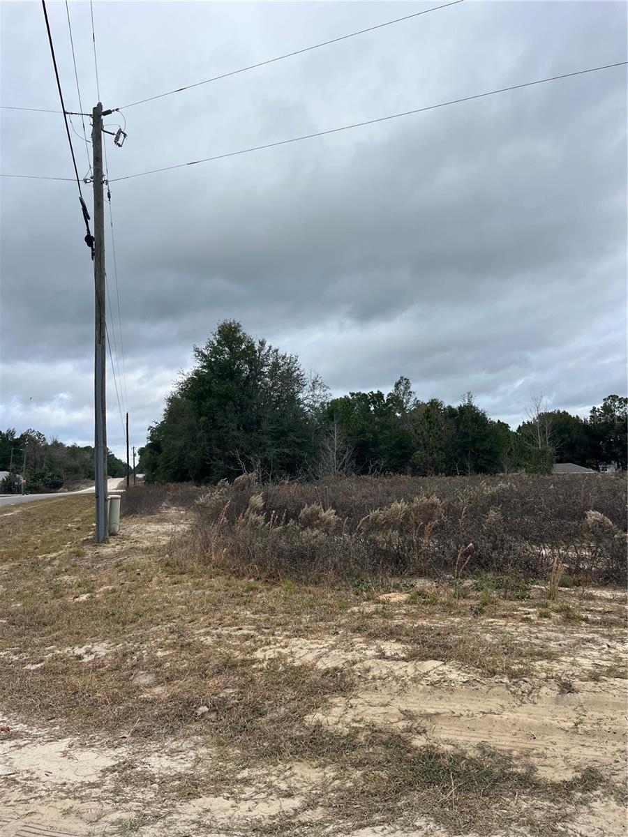 Lots 11, 12 & 13 SW 149TH CT. RD, OCALA, FL, 34481