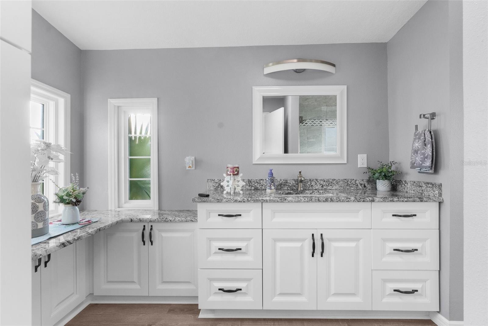 18446 ALEXSON ST, SPRING HILL, FL, 34610