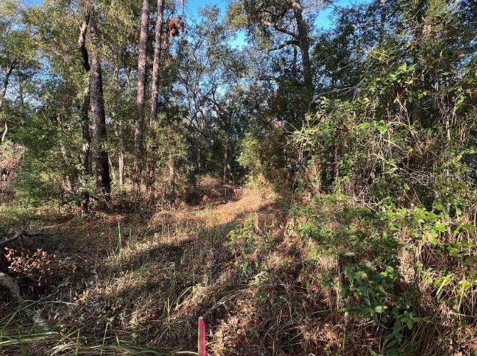 PAR AVE, SORRENTO, FL, 32776