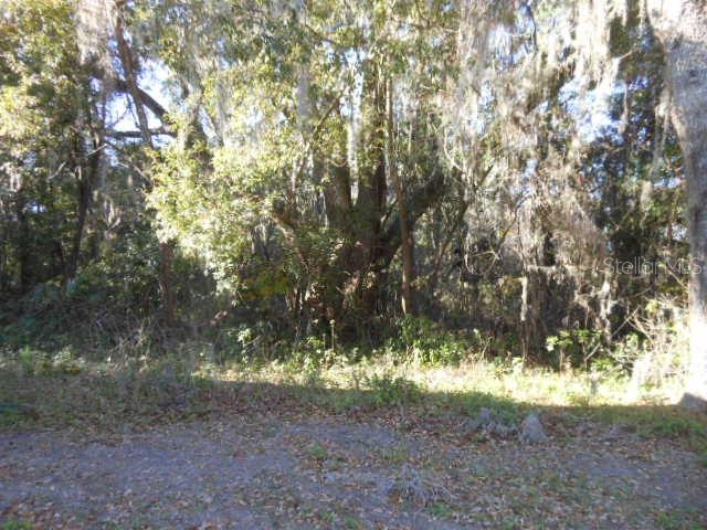 6411 SE 112TH ST, BELLEVIEW, FL, 34420