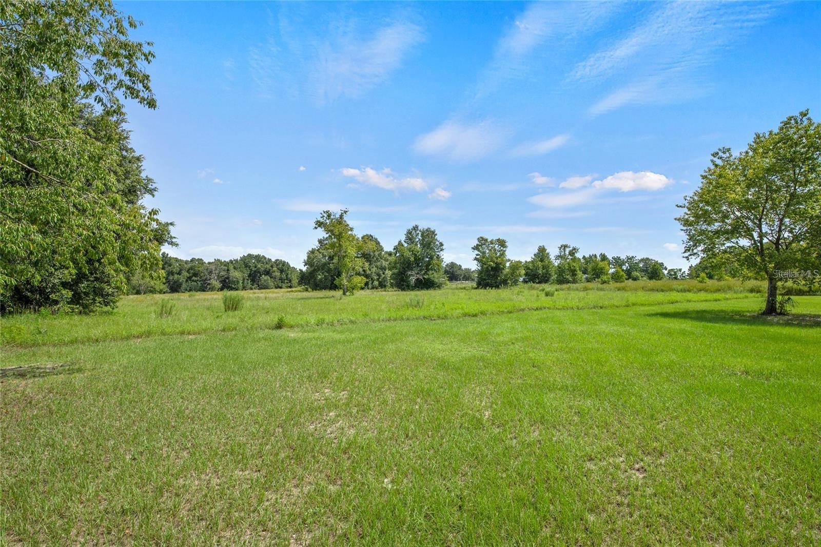 17700 SE 155TH AVE, WEIRSDALE, FL, 32195