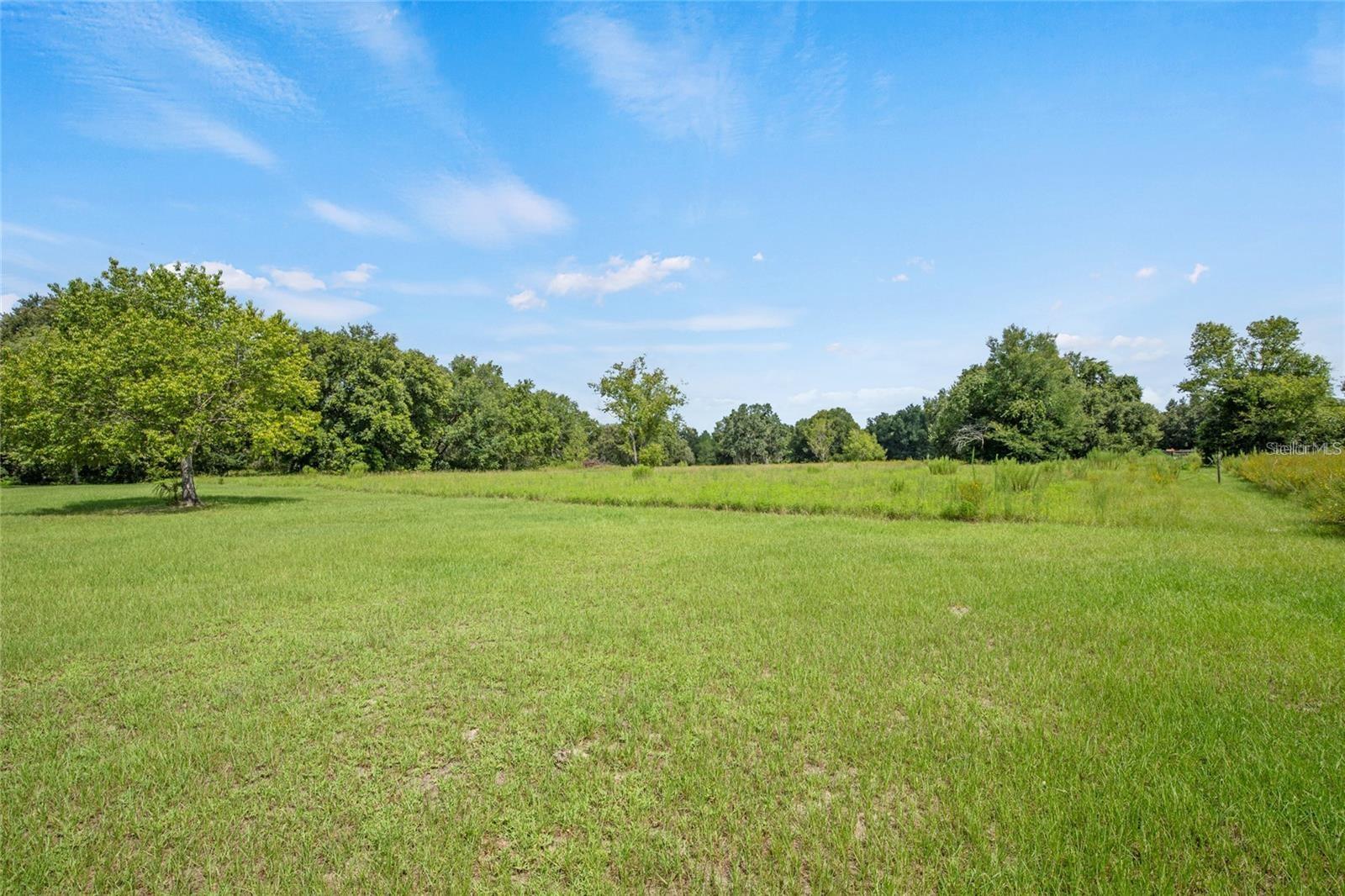 17700 SE 155TH AVE, WEIRSDALE, FL, 32195