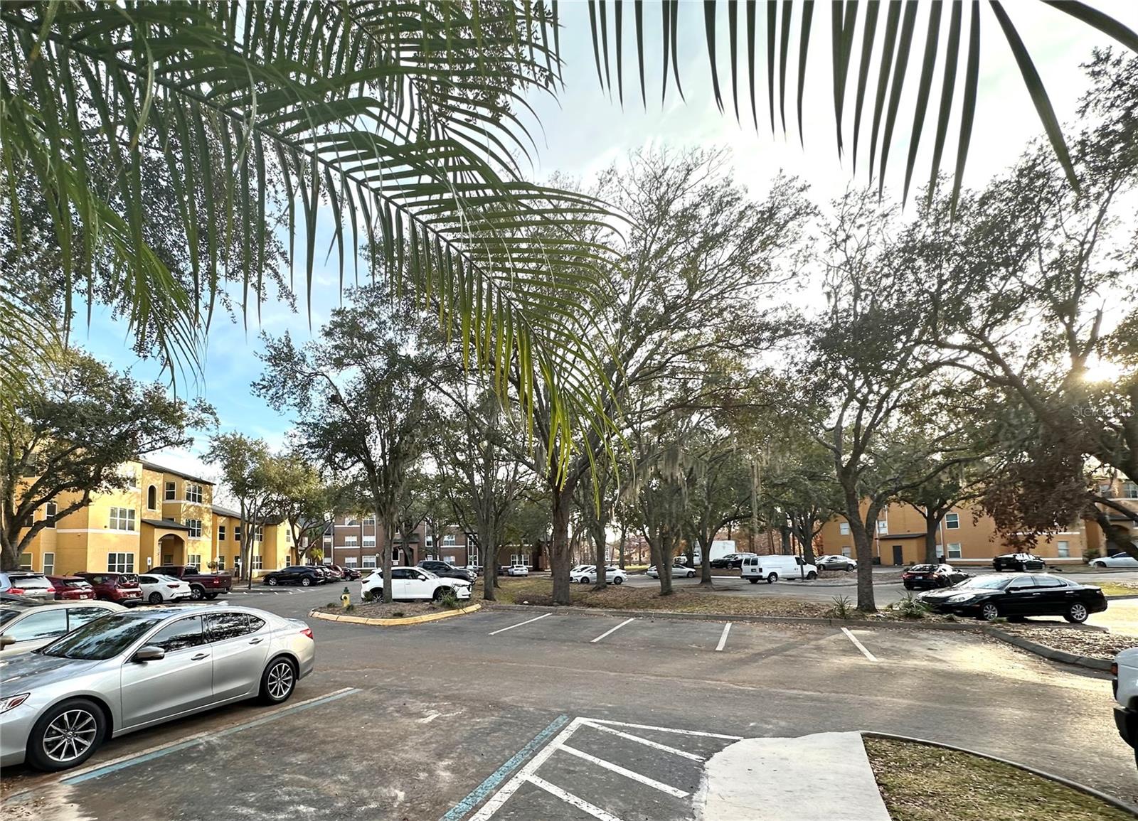 4524 COMMANDER DR #1613, ORLANDO, FL, 32822