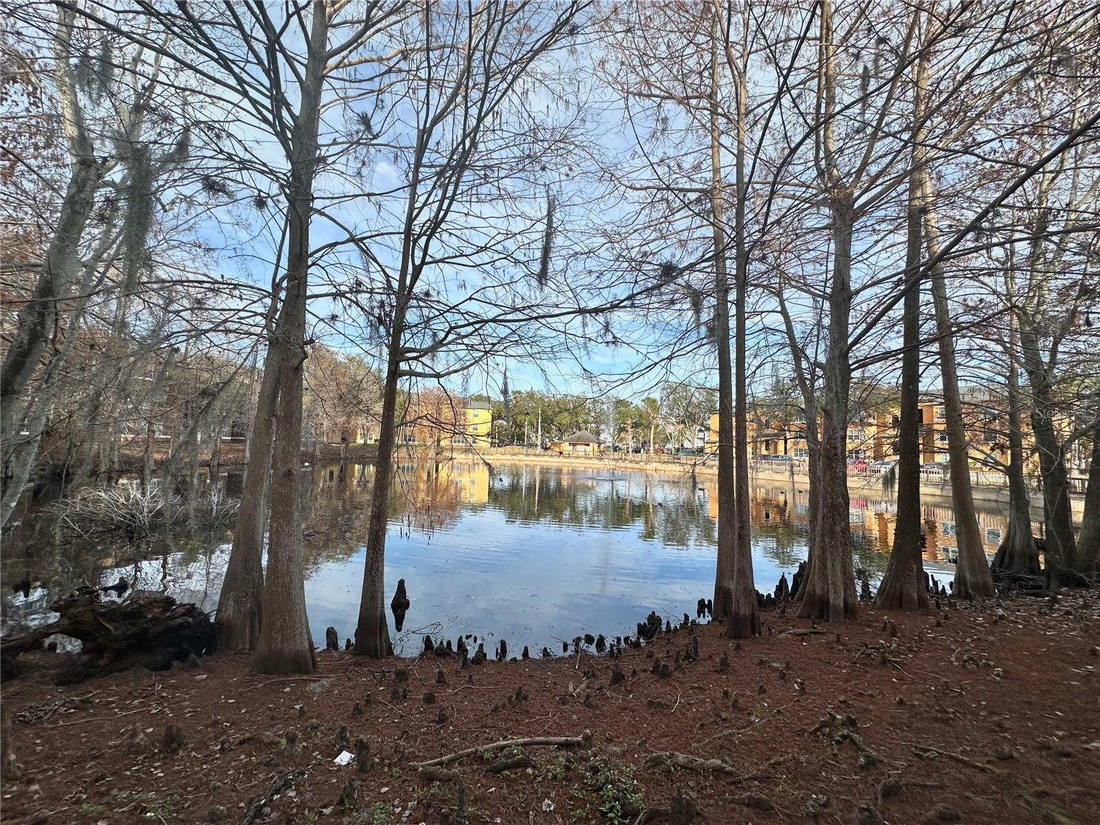 4524 COMMANDER DR #1613, ORLANDO, FL, 32822