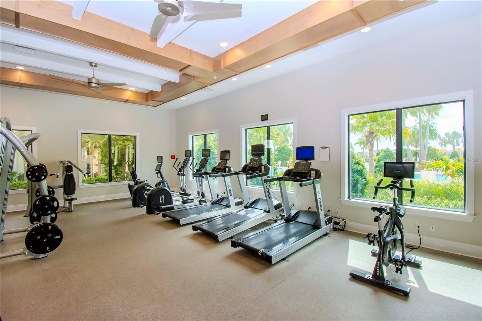 10191 ECHO DOCK LOOP, SAN ANTONIO, FL, 33576
