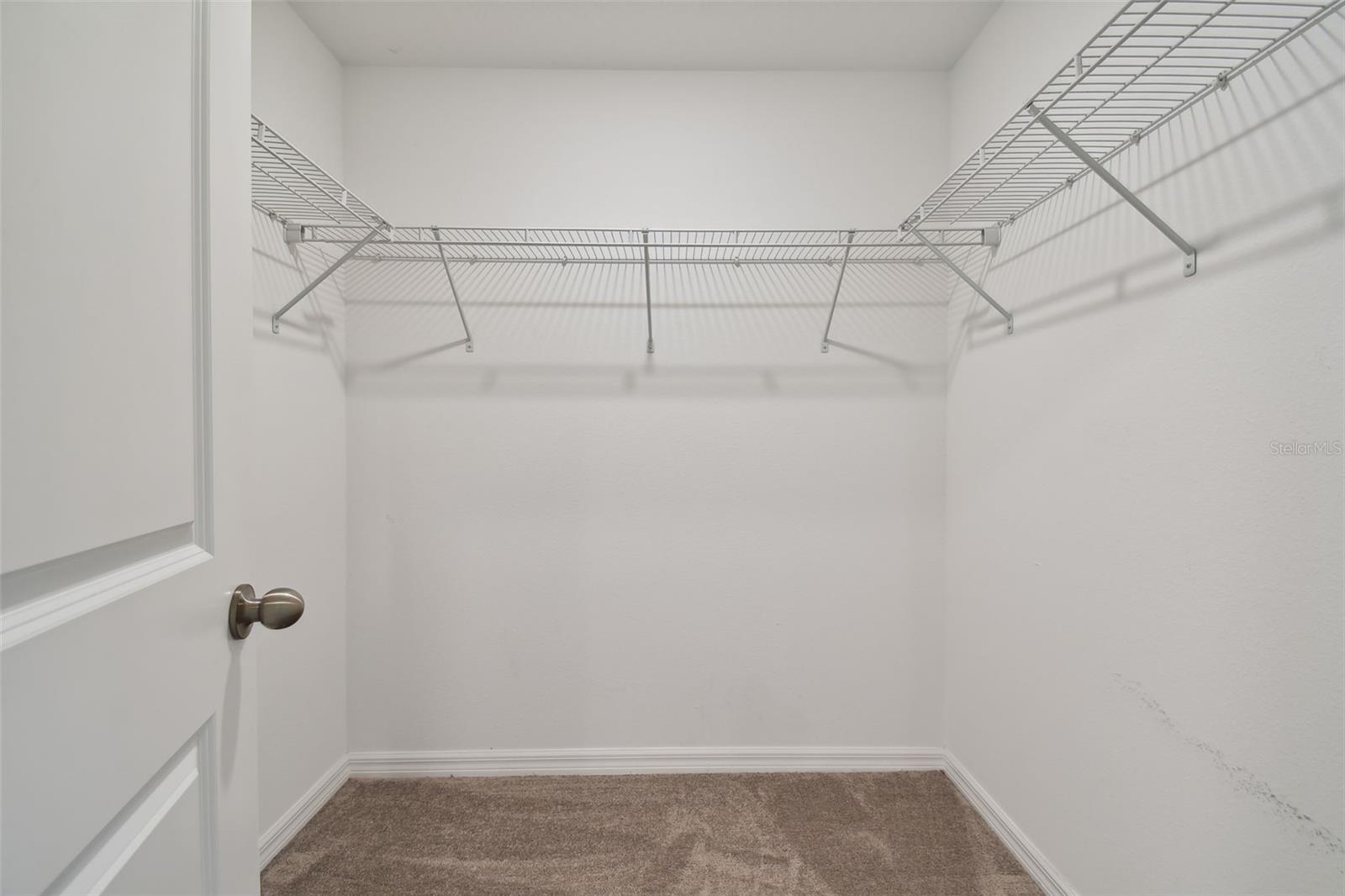 3629 BELLMEADE CT, WESLEY CHAPEL, FL, 33543