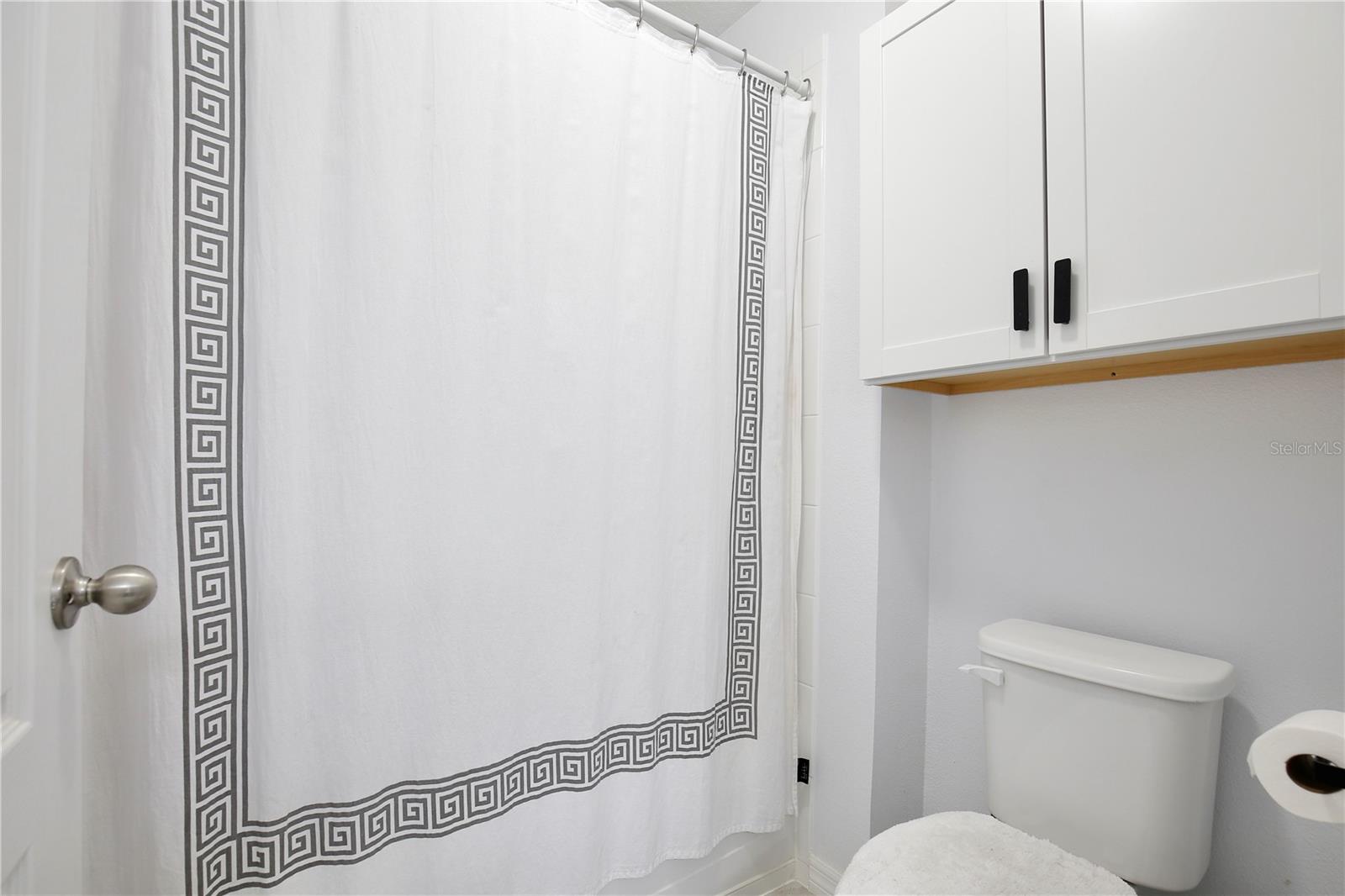 2320 BLUE MEADOWS CT, APOPKA, FL, 32703