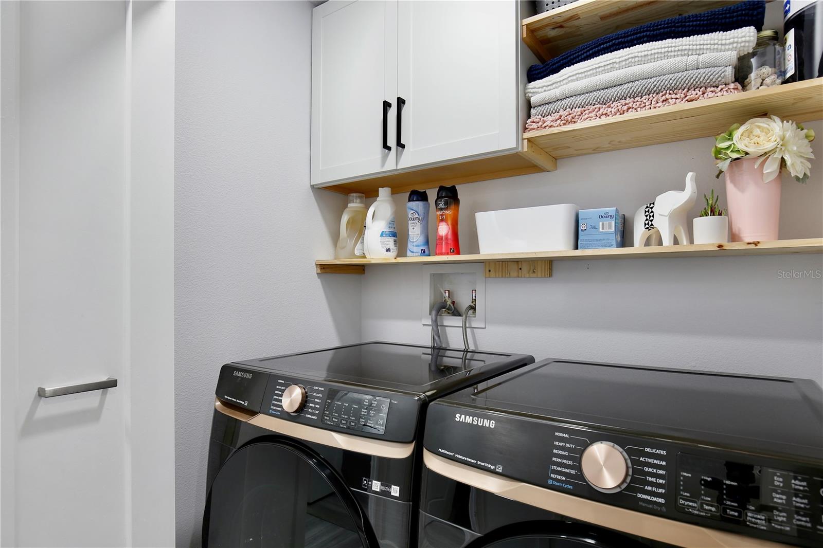 2320 BLUE MEADOWS CT, APOPKA, FL, 32703