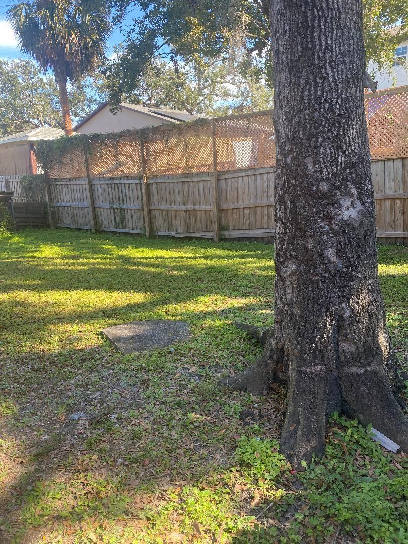 8407 N 10TH ST #B, TAMPA, FL, 33604