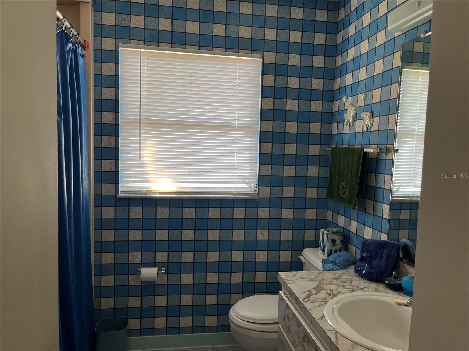 3915 SW 139TH STREET RD, OCALA, FL, 34473