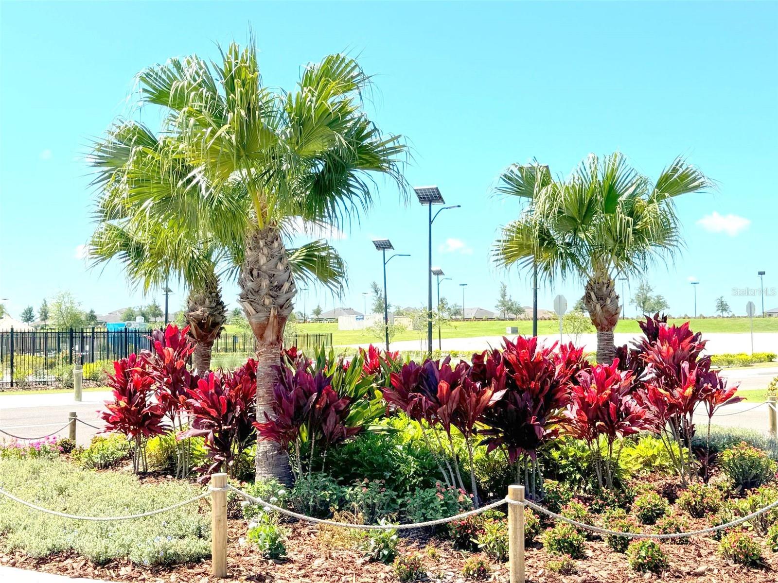 10118 HONEY HAMMOCK WAY, SAN ANTONIO, FL, 33576