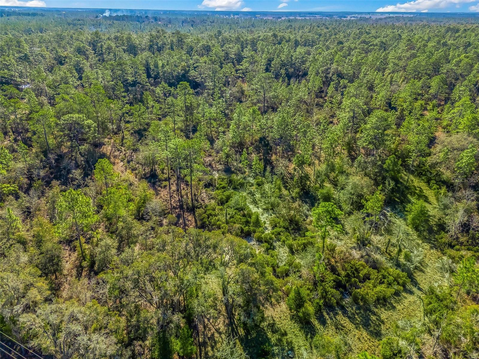 TBD NE 47TH ST, WILLISTON, FL, 32696