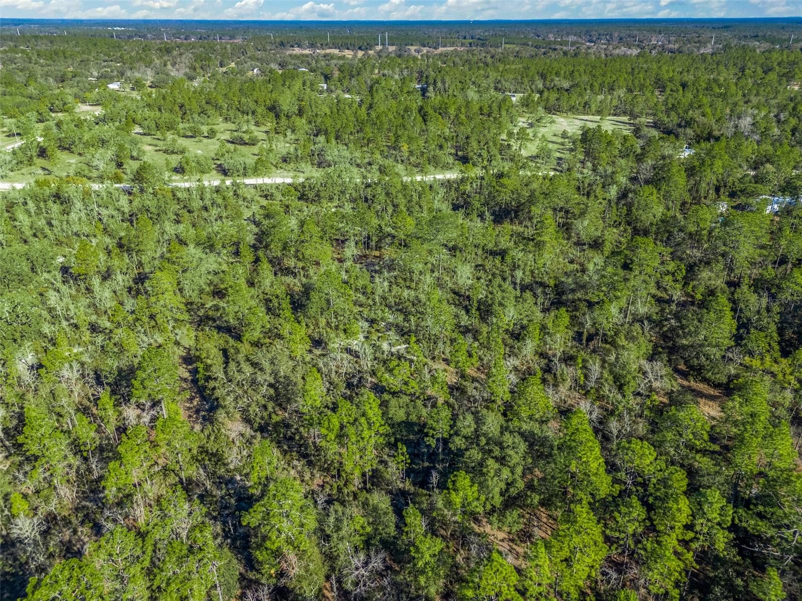 TBD NE 47TH ST, WILLISTON, FL, 32696