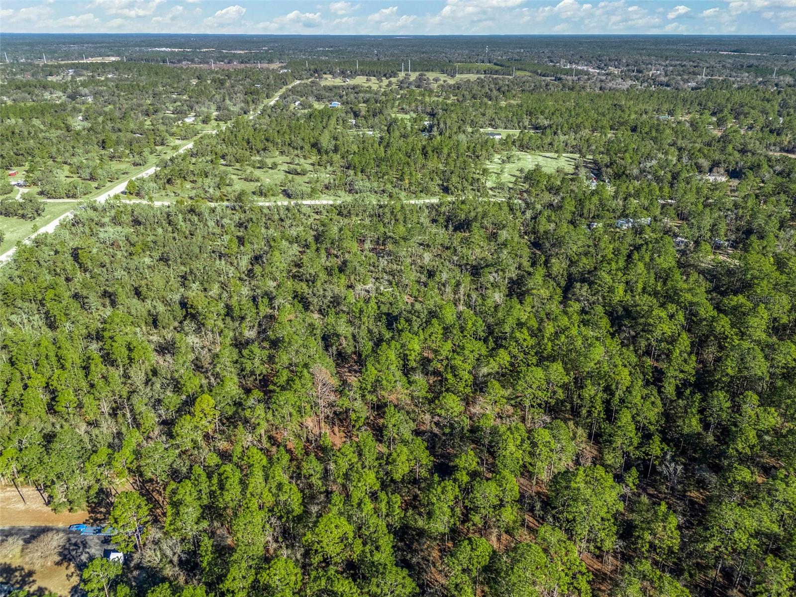 TBD NE 47TH ST, WILLISTON, FL, 32696