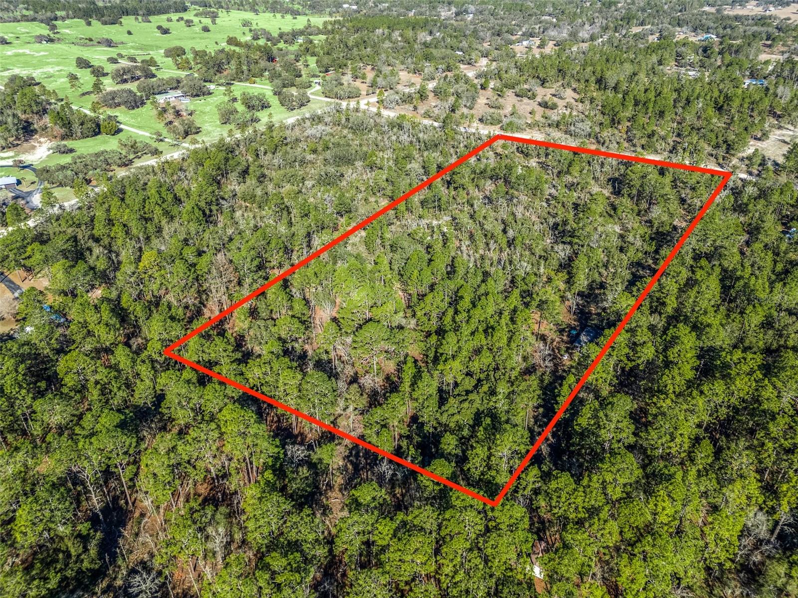 TBD NE 47TH ST, WILLISTON, FL, 32696