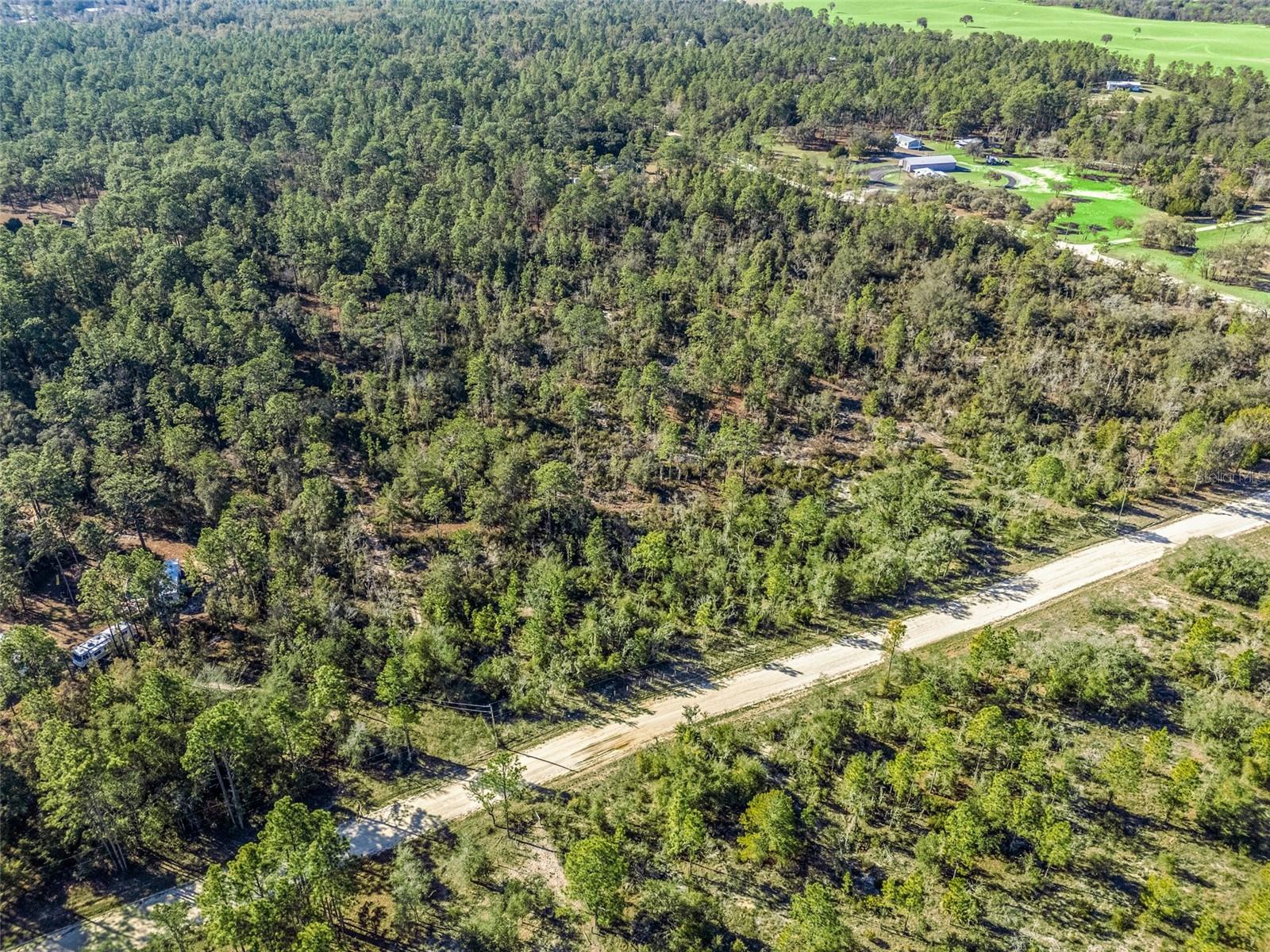 TBD NE 47TH ST, WILLISTON, FL, 32696