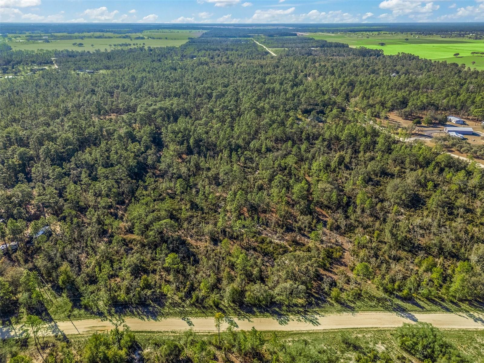 TBD NE 47TH ST, WILLISTON, FL, 32696