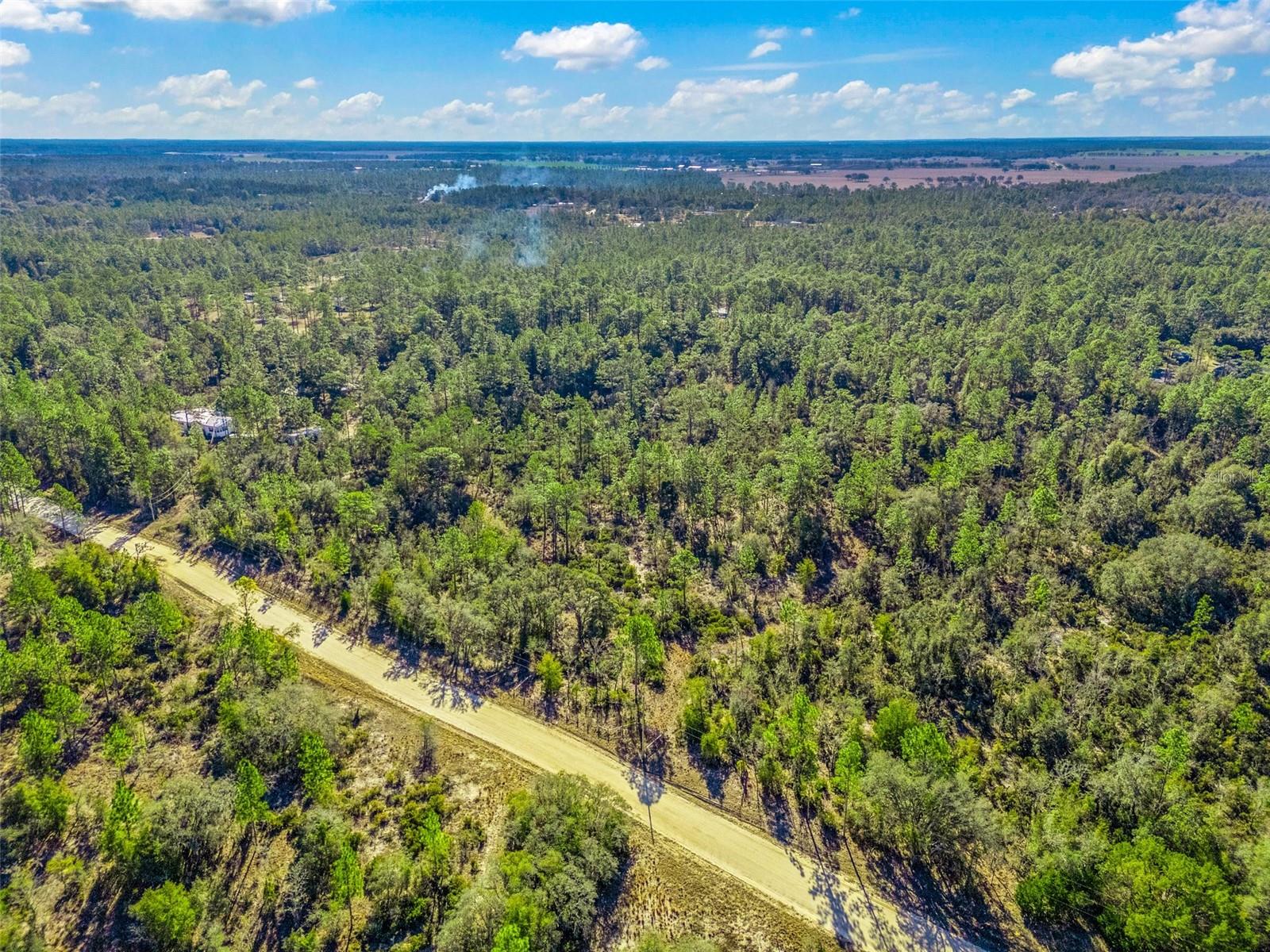 TBD NE 47TH ST, WILLISTON, FL, 32696