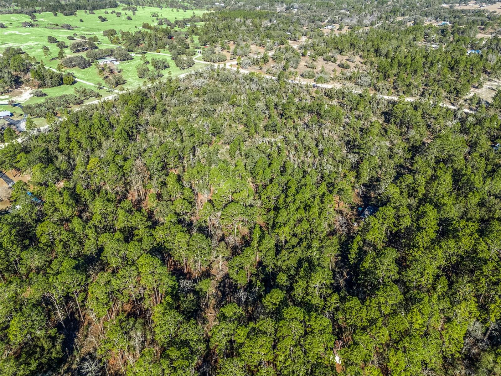 TBD NE 47TH ST, WILLISTON, FL, 32696