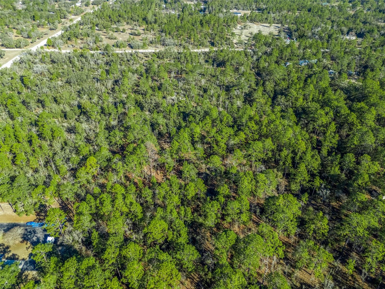 TBD NE 47TH ST, WILLISTON, FL, 32696