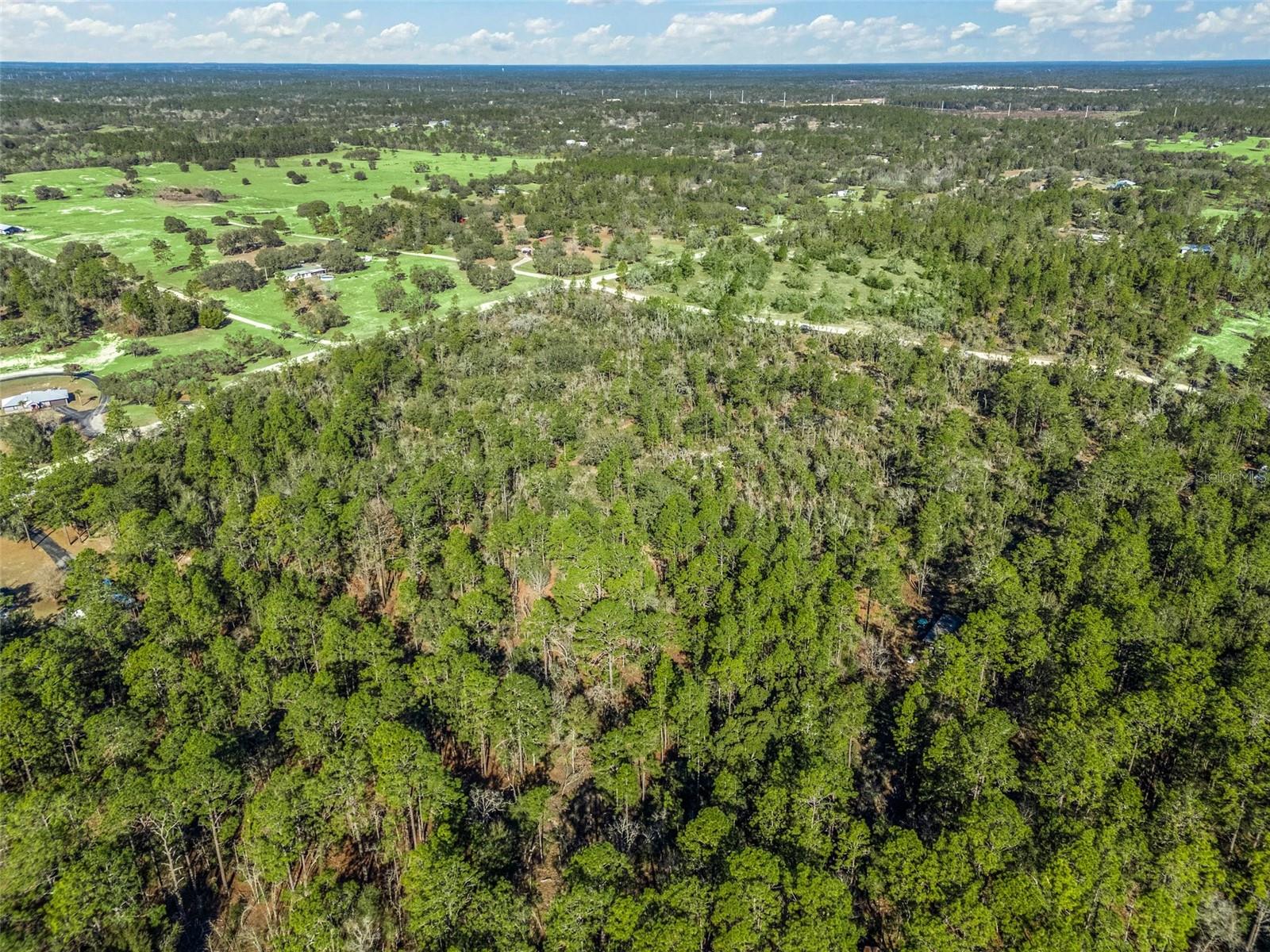 TBD NE 47TH ST, WILLISTON, FL, 32696