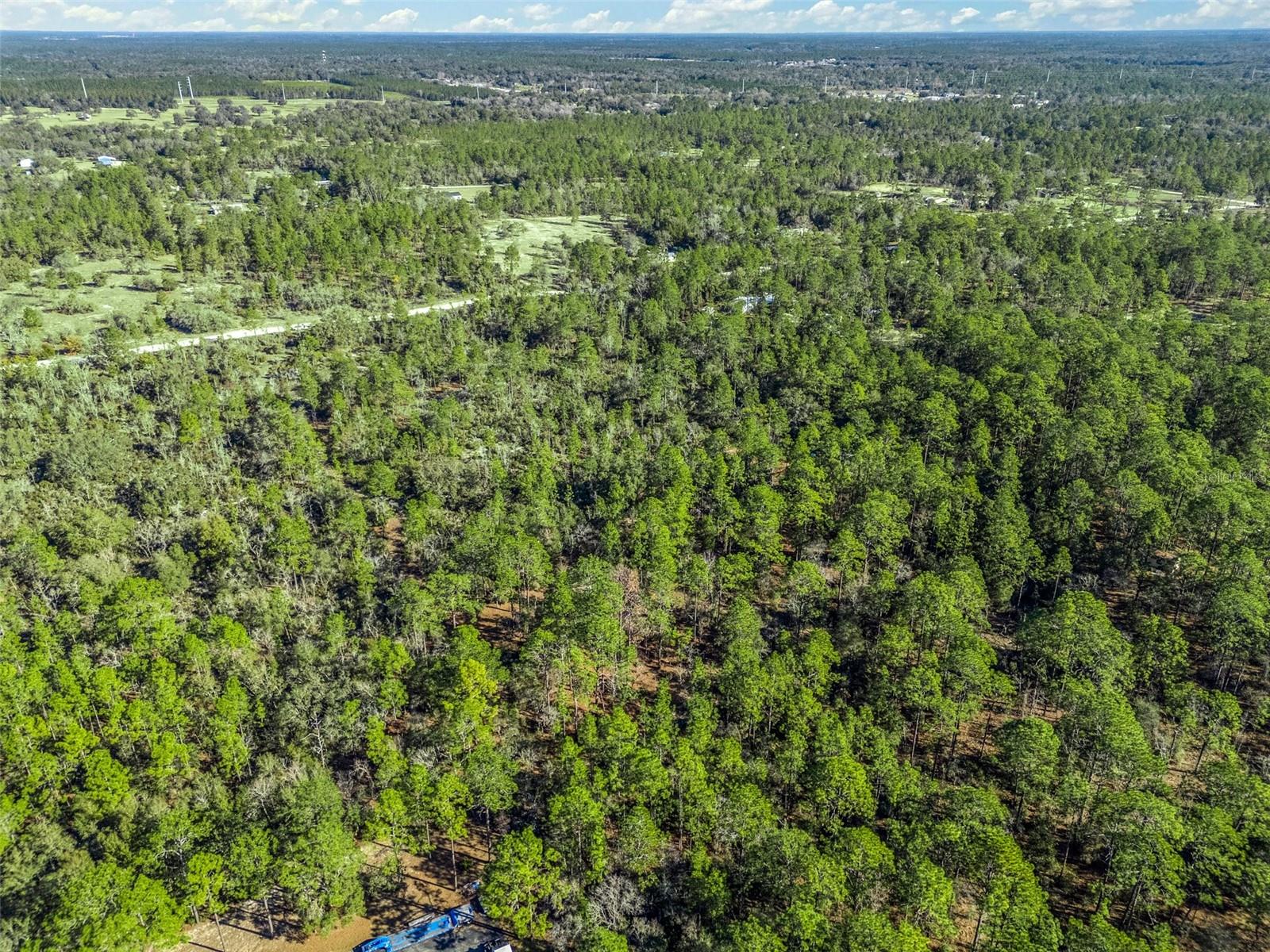 TBD NE 47TH ST, WILLISTON, FL, 32696