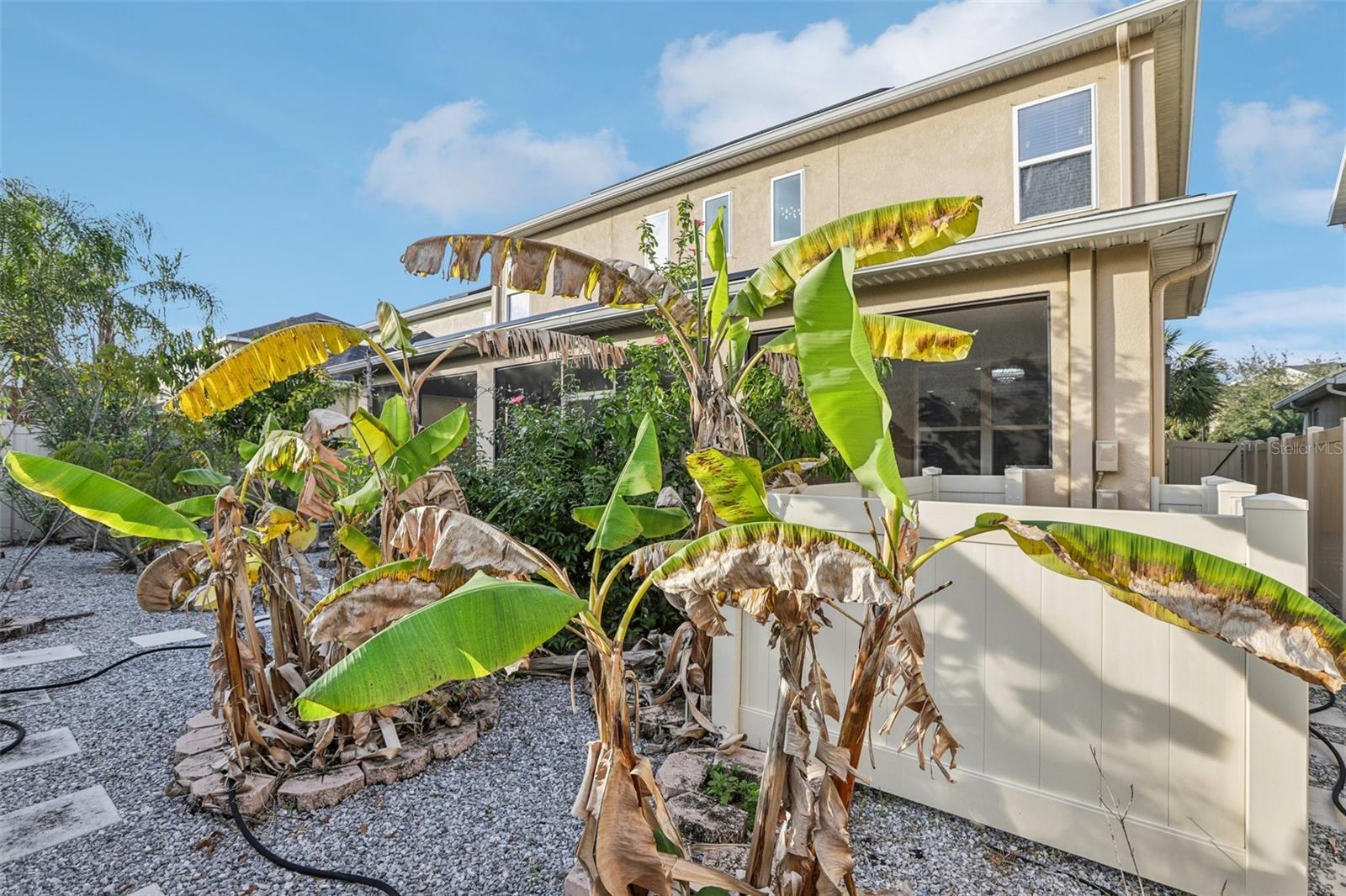 8836 CITRUS PALM DR, TAMPA, FL, 33626