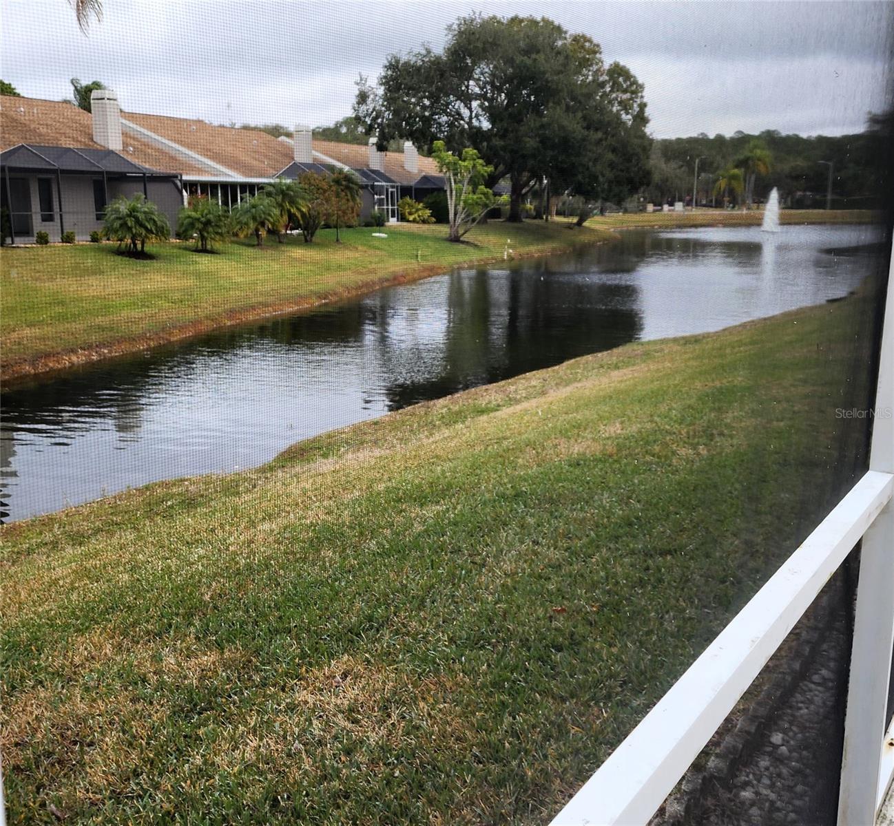 3875 DARSTON ST, PALM HARBOR, FL, 34685