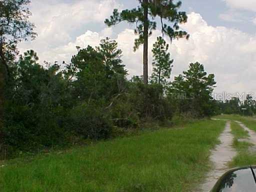 528 PARAKEET AVE, SEBRING, FL, 33872