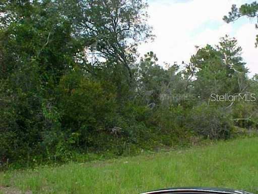 528 PARAKEET AVE, SEBRING, FL, 33872