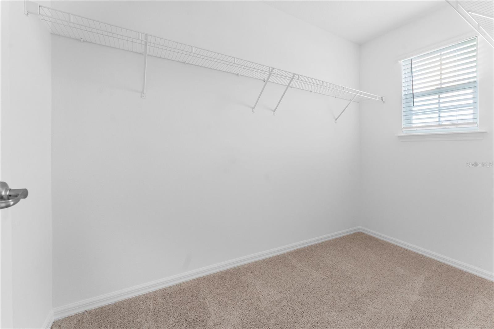 32042 EASTERN REDBUD BR, SAN ANTONIO, FL, 33576