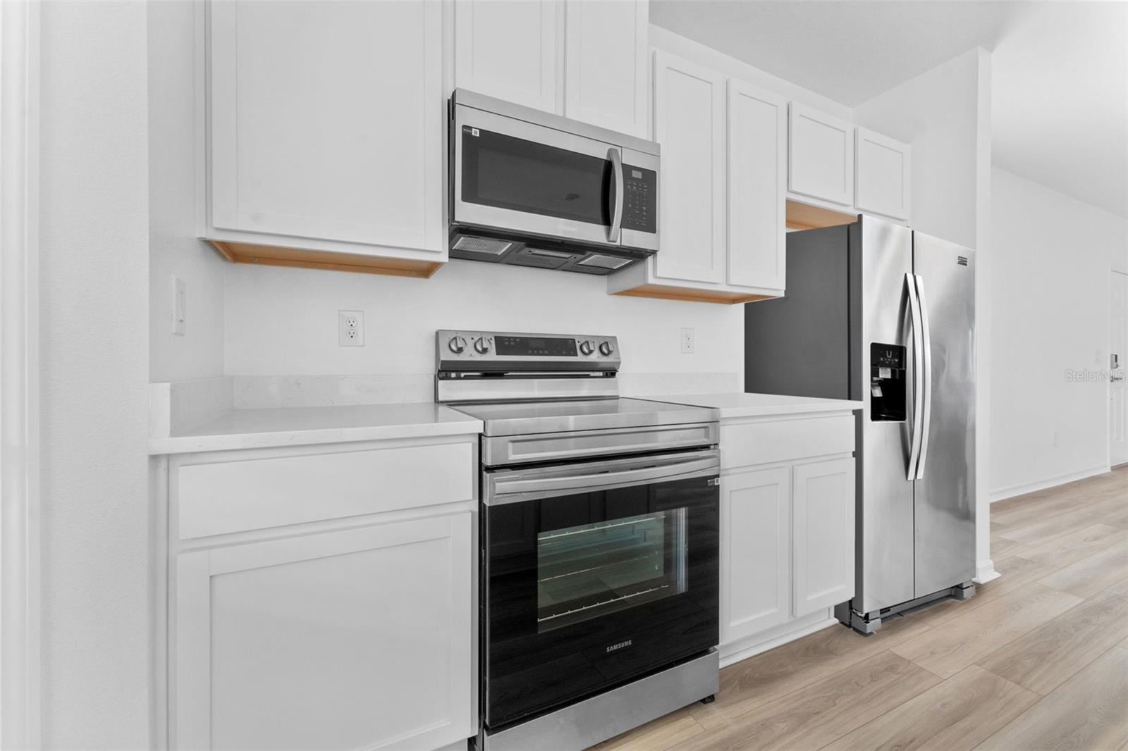 32042 EASTERN REDBUD BR, SAN ANTONIO, FL, 33576