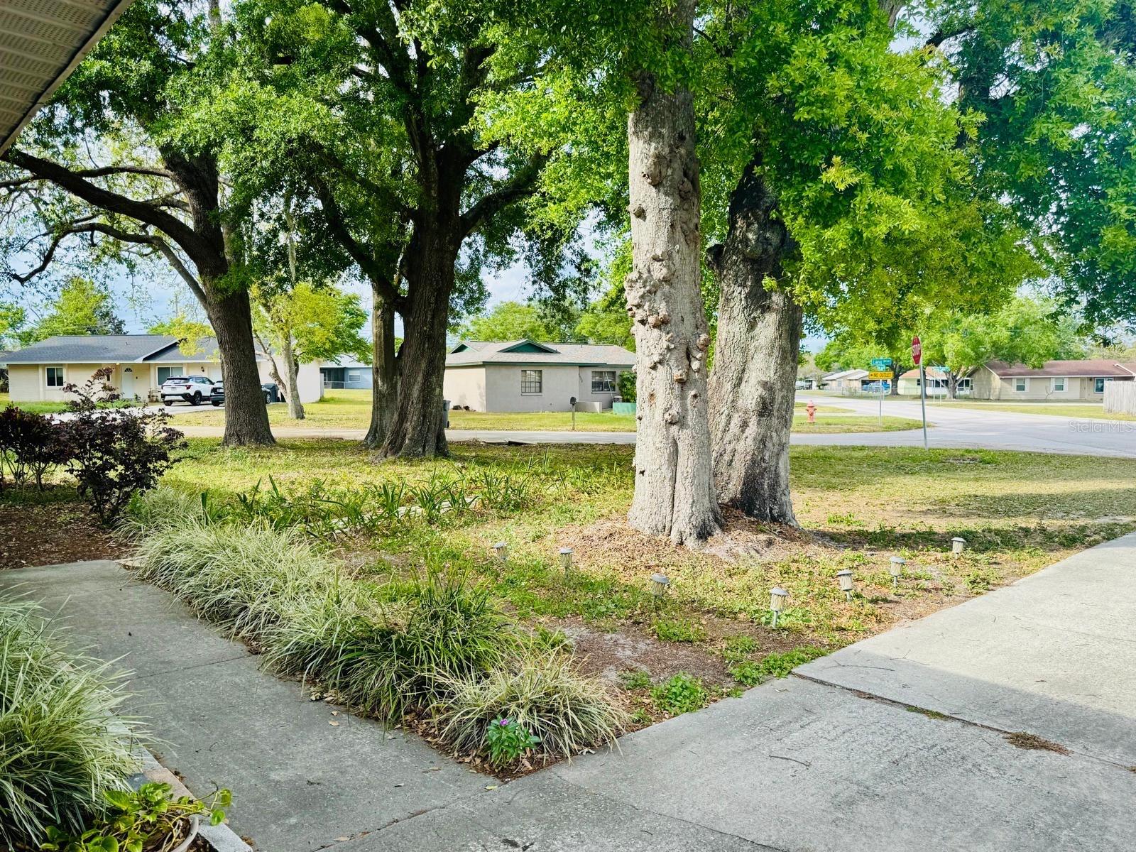 4089 LANA DR, LAKELAND, FL, 33813