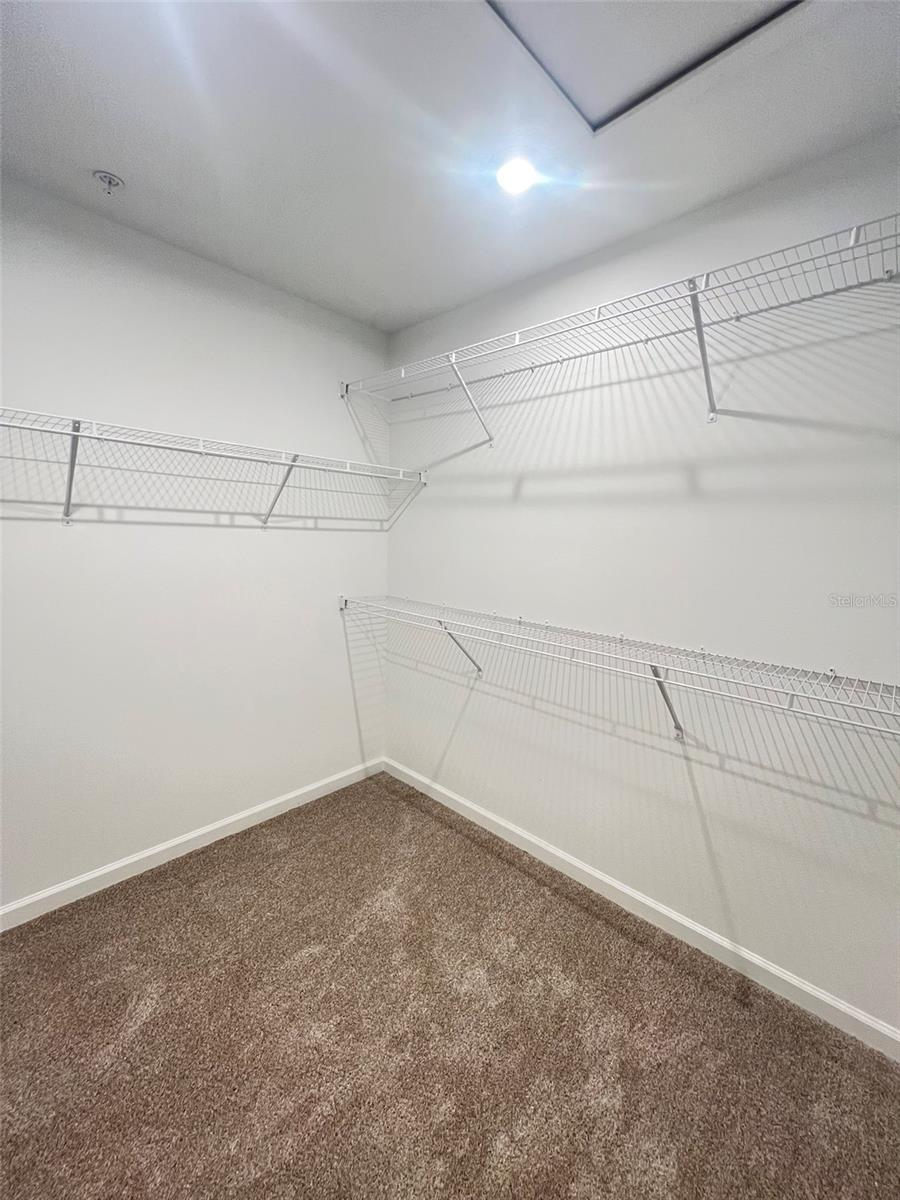 3103 GARDENIA RESERVE ST, APOPKA, FL, 32712