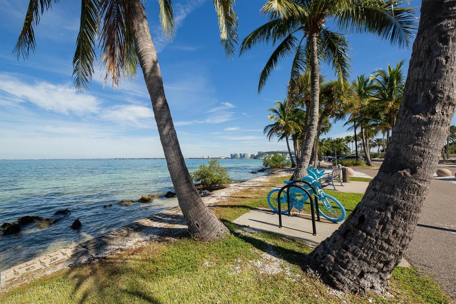 419 PARTRIDGE CIR, SARASOTA, FL, 34236