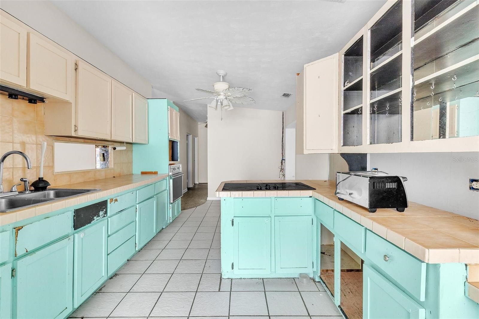 1350 PALM DR, MOUNT DORA, FL, 32757