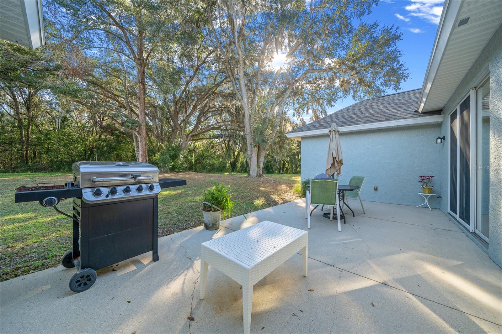 302 BROOKSTONE LN, FRUITLAND PARK, FL, 34731