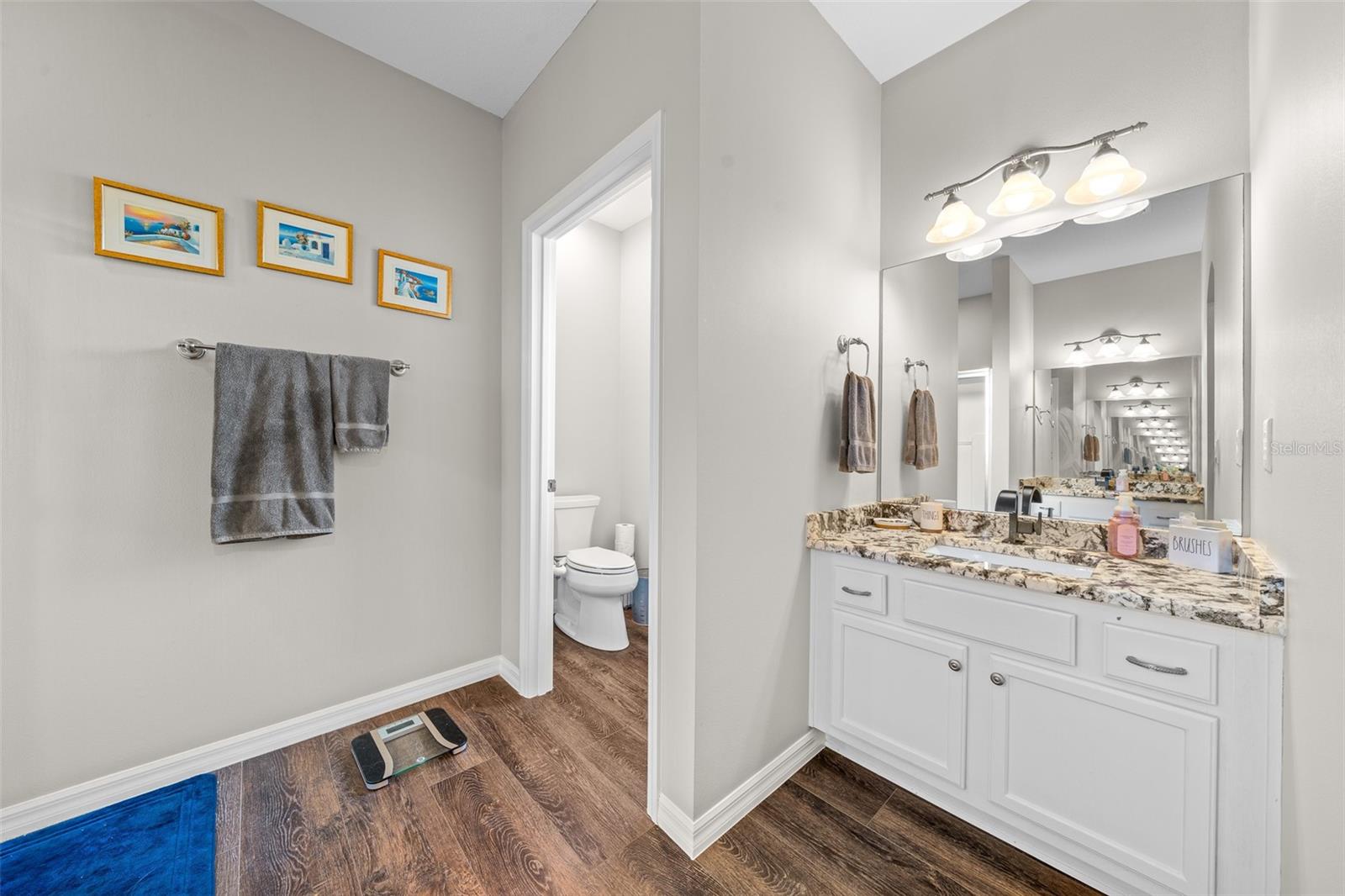 302 BROOKSTONE LN, FRUITLAND PARK, FL, 34731