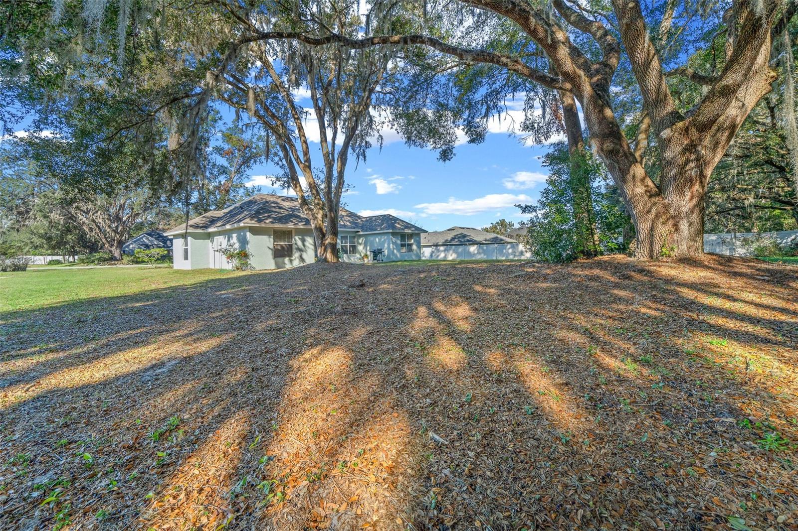 302 BROOKSTONE LN, FRUITLAND PARK, FL, 34731