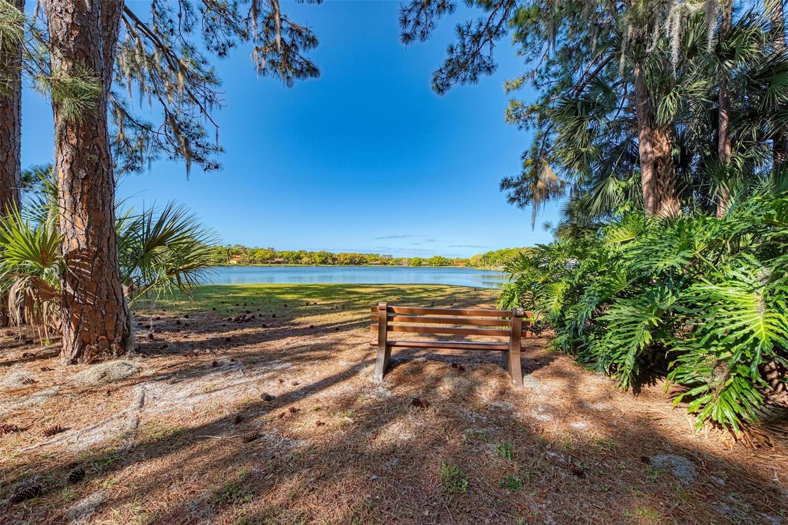 4364 BRANDYWINE DR, SARASOTA, FL, 34241