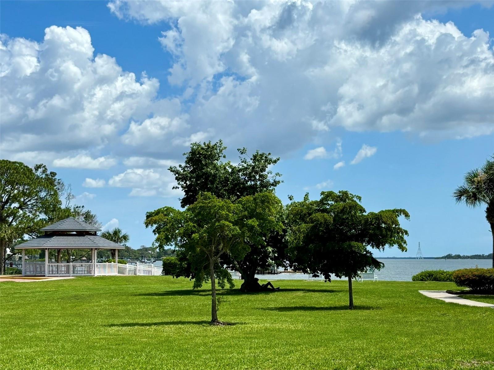 7418 BAY DR, TAMPA, FL, 33635