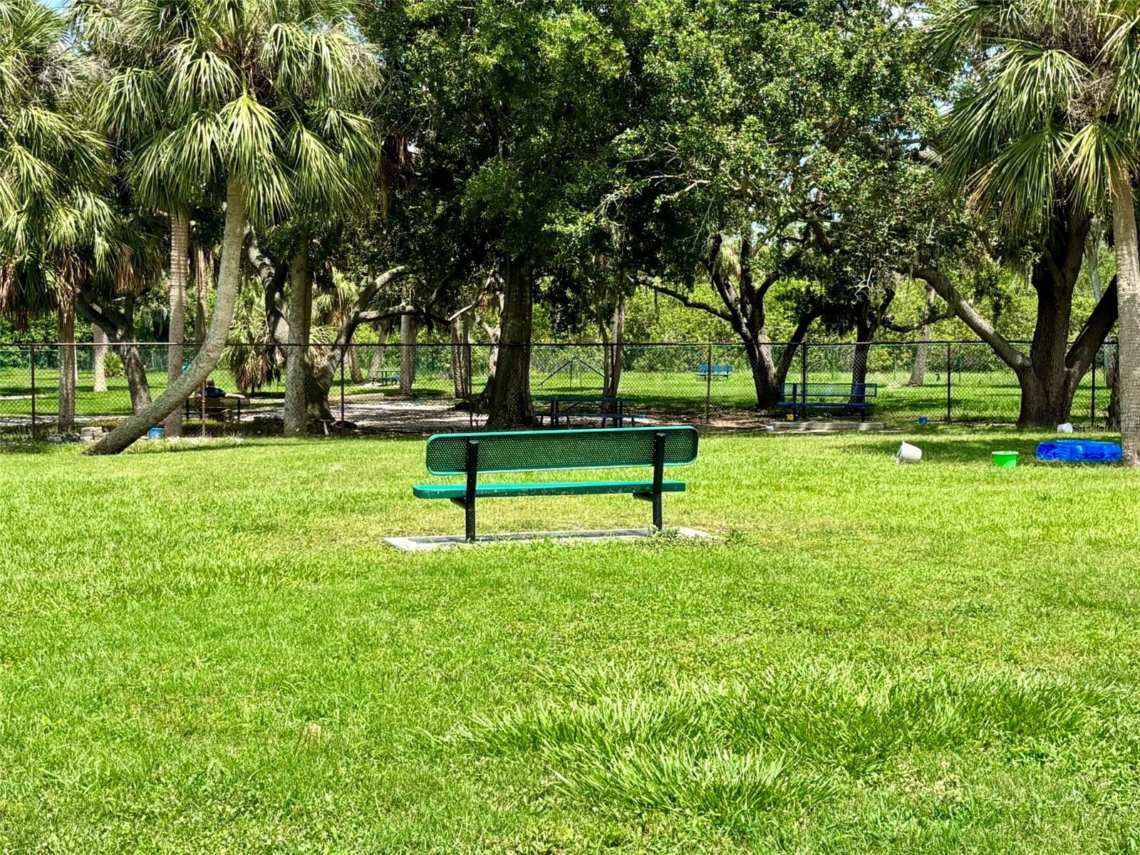 7418 BAY DR, TAMPA, FL, 33635