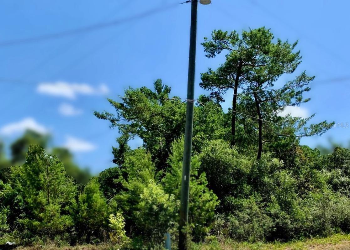 OAK ST, PAISLEY, FL, 32767